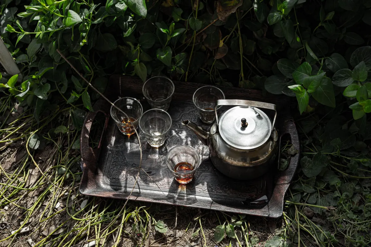 A Beginner's Guide to Matching Teapot Materials with Tea Types